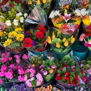 Meet your Posher, Larisa